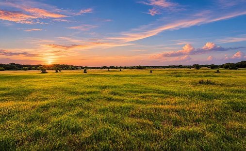Land in Jonesboro, Texas, United States 1