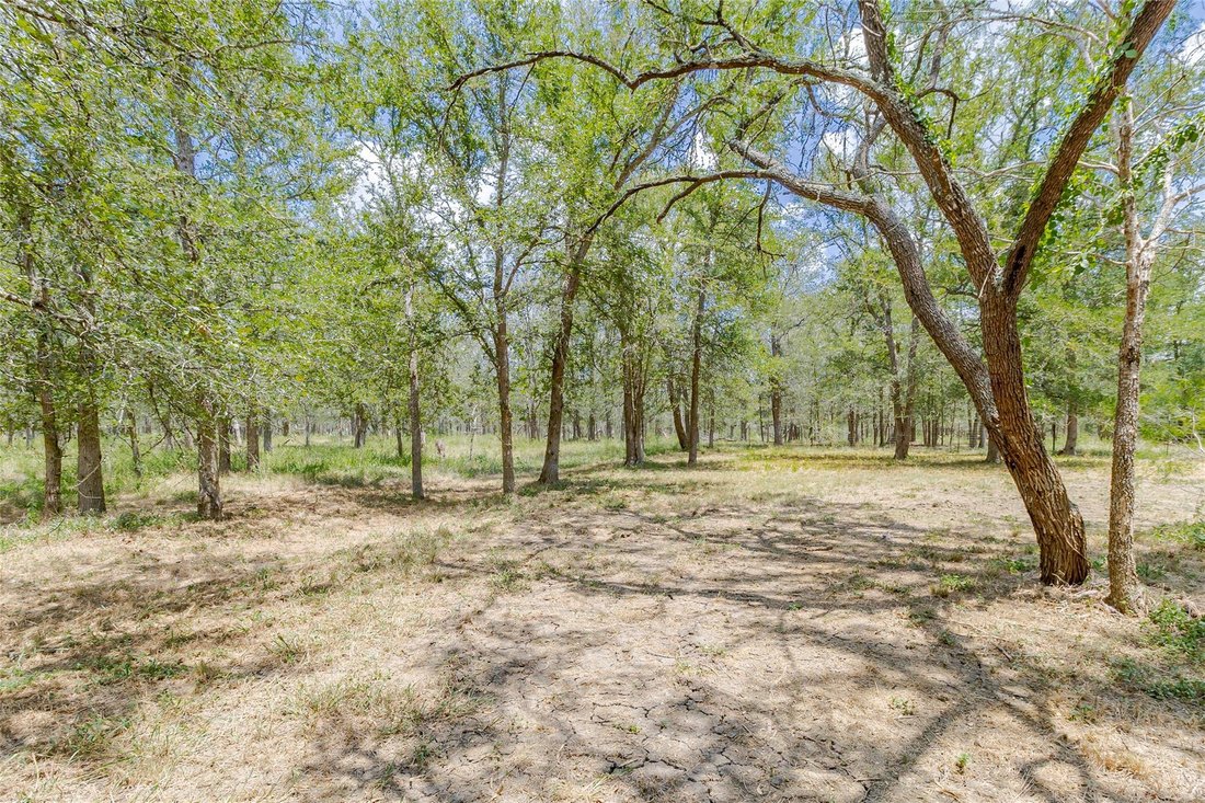 House in Red Rock, Texas, United States 5 - 17961852