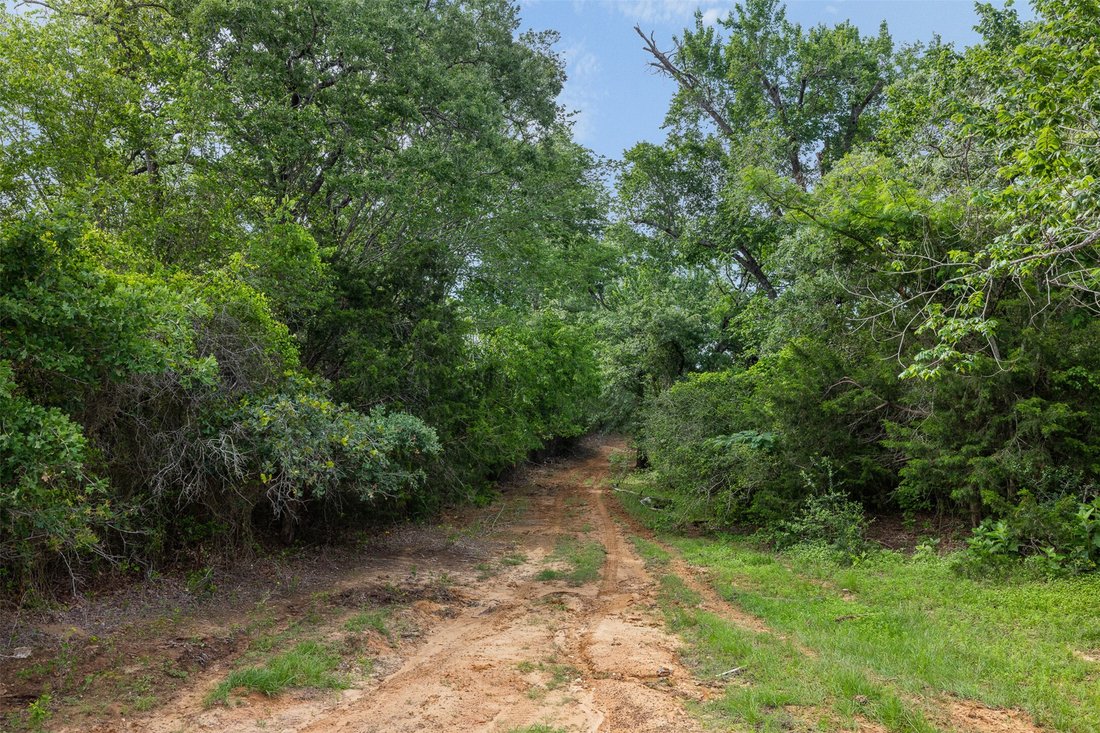 Farm Ranch in Thorndale, Texas, United States 5 - 17962403