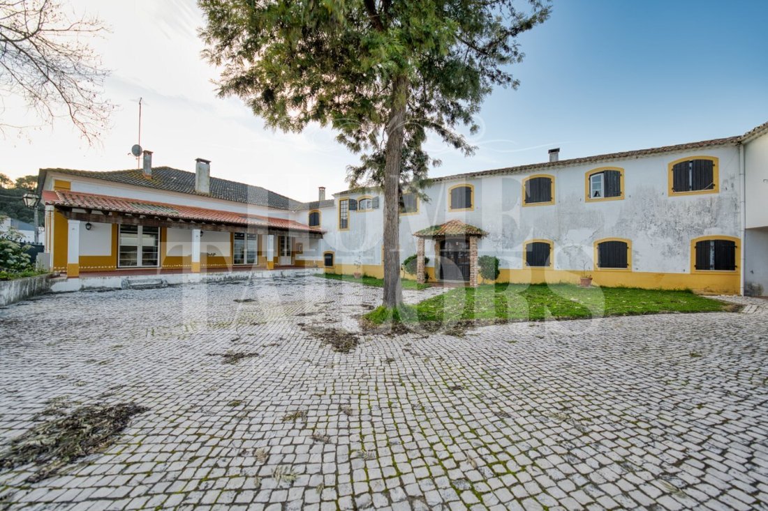 Finca in Chamusca e Pinheiro Grande, Santarem District, Portugal 3 - 17930752