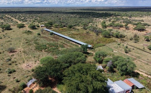 Terrain à Grootfontein, Otjozondjupa Region, Namibie 1