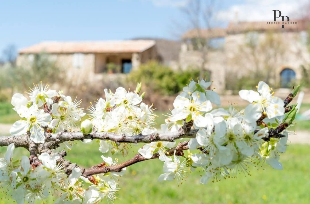 Villa in Viens, Provence-Alpes-Côte d'Azur, France 5 - 17962908