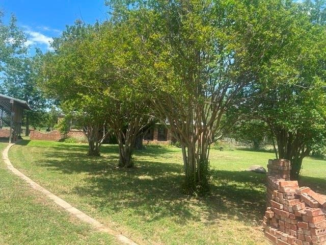 Dublin, Texas, United States 3 - 17103291
