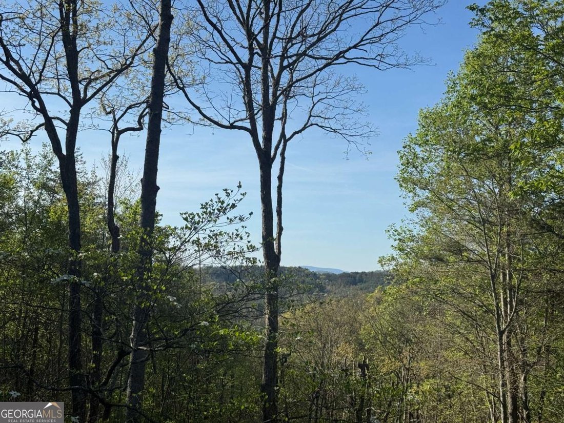 House in Morganton, Georgia, United States 4 - 17961648