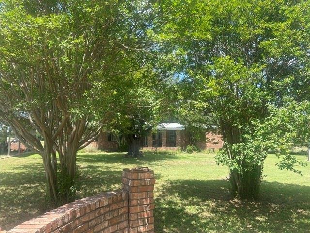 Dublin, Texas, United States 4 - 17103291