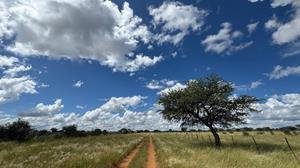 Farm Ranch in Steinhausen, Omaheke Region, Namibia 3 - 17958776