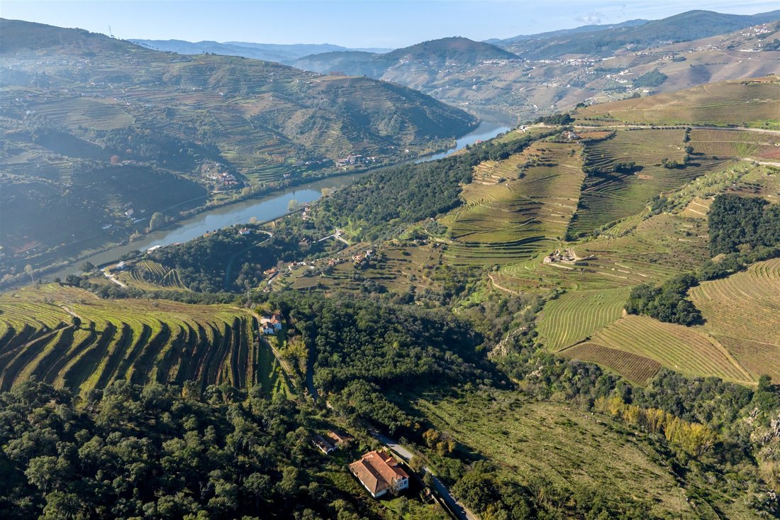 Farm Ranch in Mesao Frio (Santo Andre), Vila Real District, Portugal 2 - 17957804