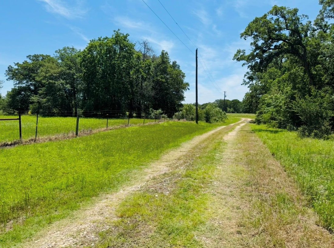 House in Lexington, Texas, United States 3 - 17961317