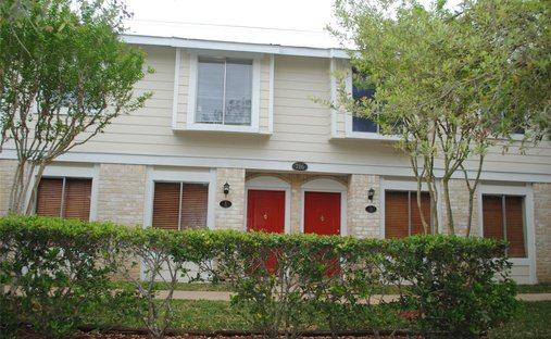 Apartment in Houston, Texas, United States 1