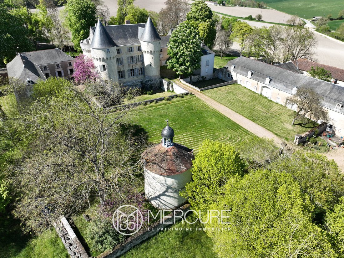 Castle in La Celle-Saint-Avant, Centre-Val de Loire, France 3 - 17959077