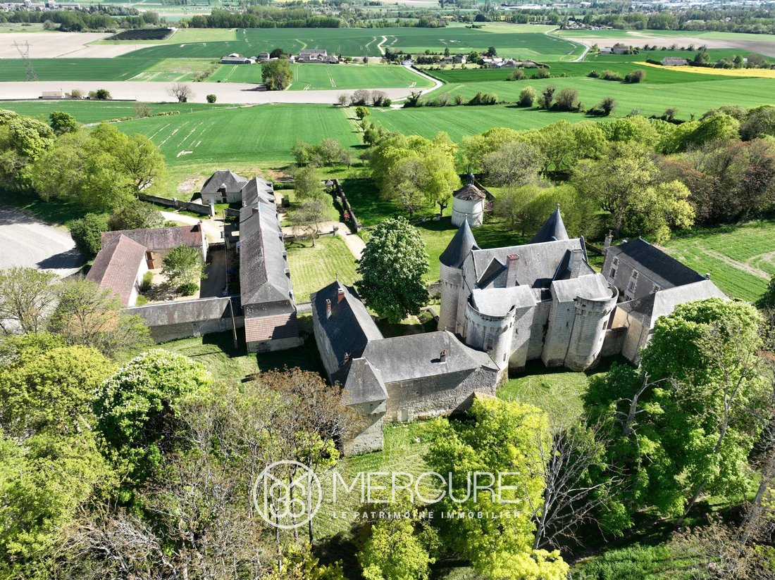Castle in La Celle-Saint-Avant, Centre-Val de Loire, France 2 - 17959077