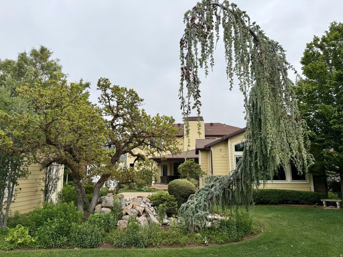 House in Layton, Utah, United States 4 - 17961261