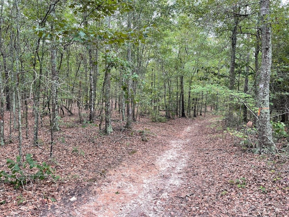 Land in Chattahoochee Hills, Georgia, United States 5 - 17957813