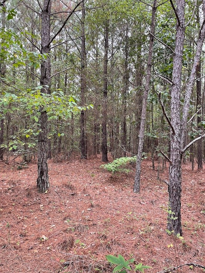 Land in Chattahoochee Hills, Georgia, United States 4 - 17957813