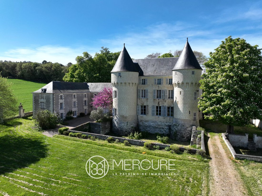 Castle in La Celle-Saint-Avant, Centre-Val de Loire, France 4 - 17959077