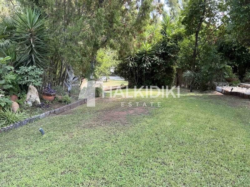 Apartment in Kassandra, Macedonia and Thrace, Greece 3 - 17963273
