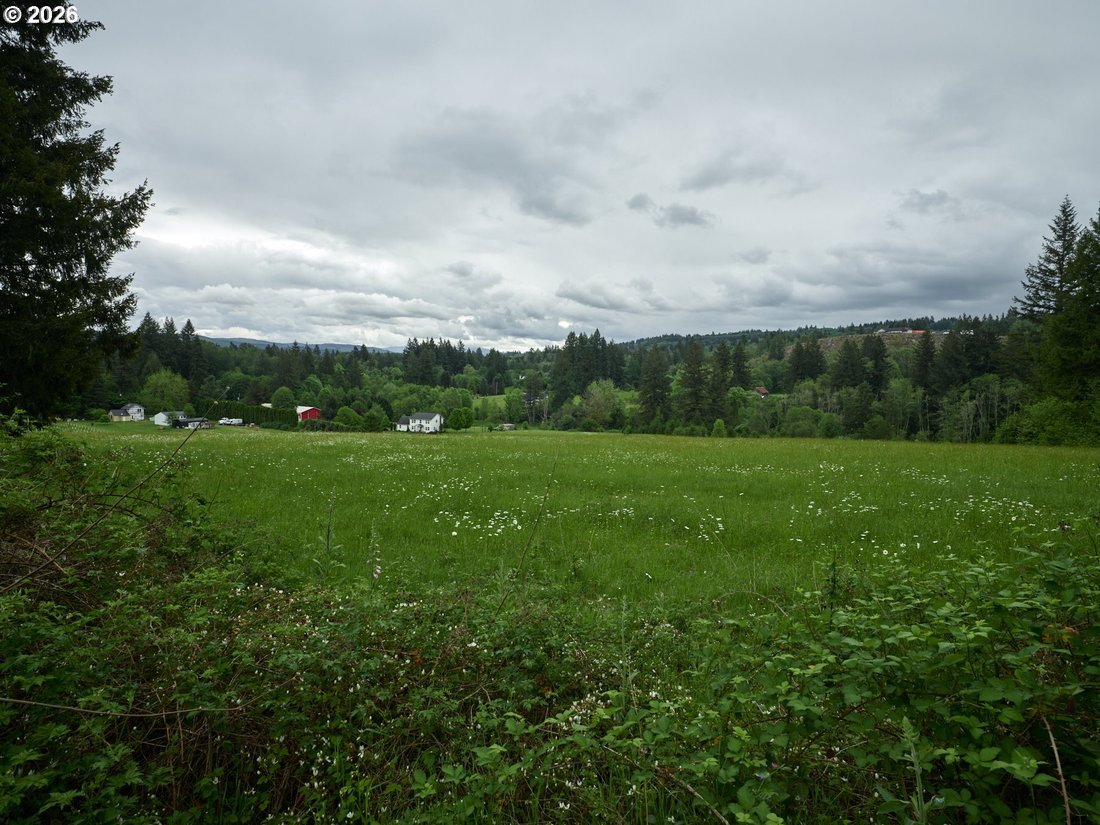 Farm Ranch in Amboy, Washington, United States 3 - 17962505