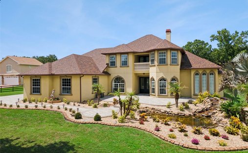 House in Plant City, Florida, United States 1