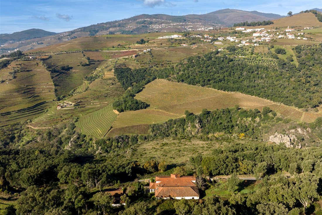 Farm Ranch in Mesao Frio (Santo Andre), Vila Real District, Portugal 3 - 17957804