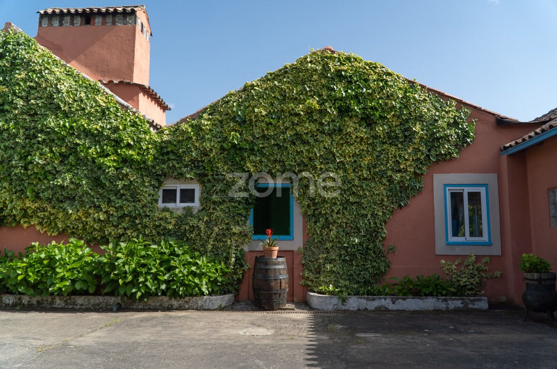Finca en Lamas, Distrito de Coímbra, Portugal 1 - 17962285