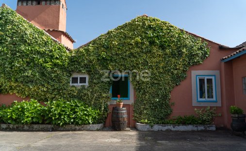 Finca en Lamas, Distrito de Coímbra, Portugal 1