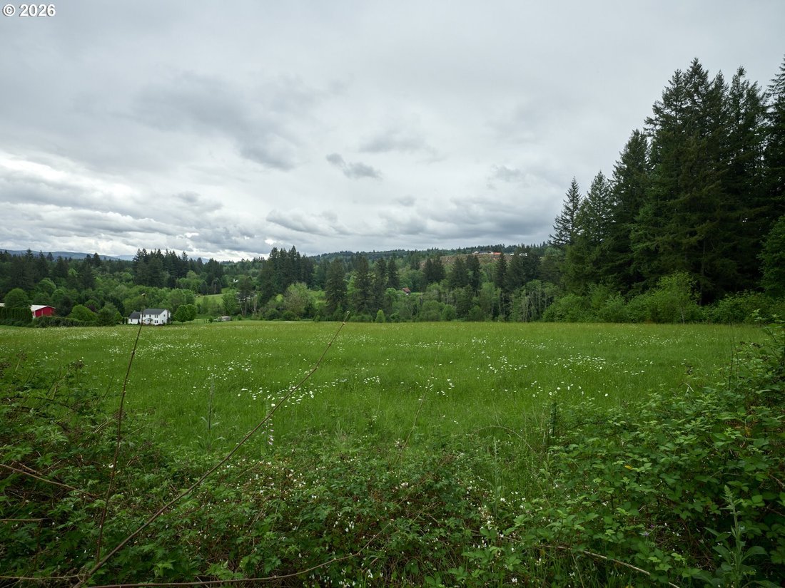 Farm Ranch in Amboy, Washington, United States 2 - 17962505