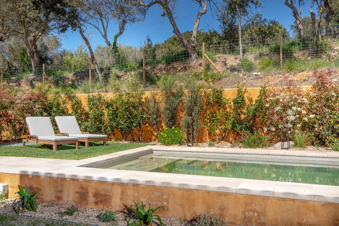 Villa in Regent, Catalonia, Spain 5 - 17099450