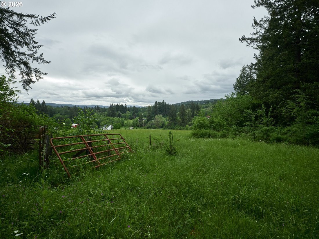 Farm Ranch in Amboy, Washington, United States 4 - 17962505