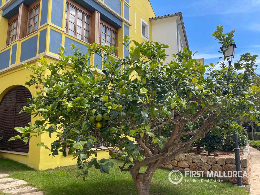 Apartment in Calvia, Balearic Islands, Spain 1 - 17962111