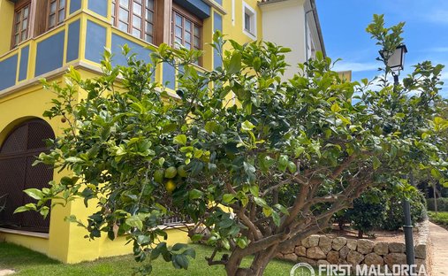 Apartment in Calvia, Balearic Islands, Spain 1
