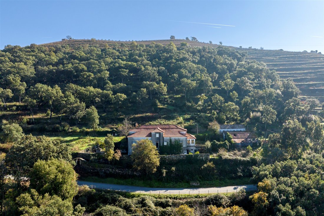 Farm Ranch in Mesao Frio (Santo Andre), Vila Real District, Portugal 5 - 17957804