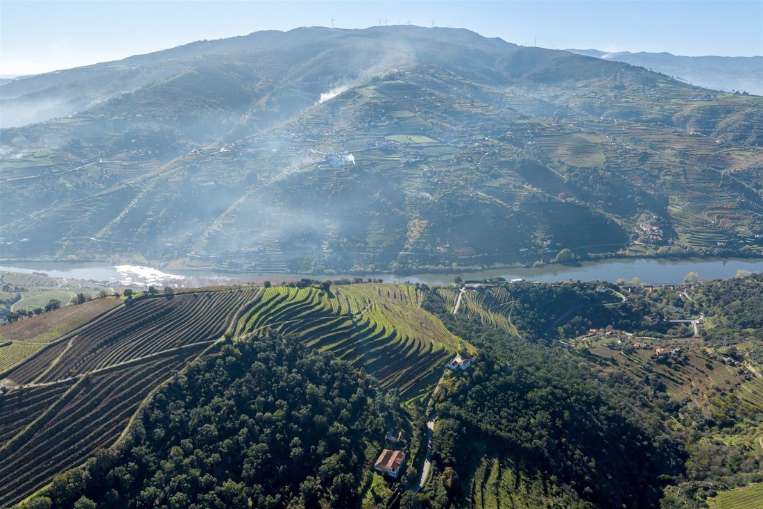 Farm Ranch in Mesao Frio (Santo Andre), Vila Real District, Portugal 1 - 17957804