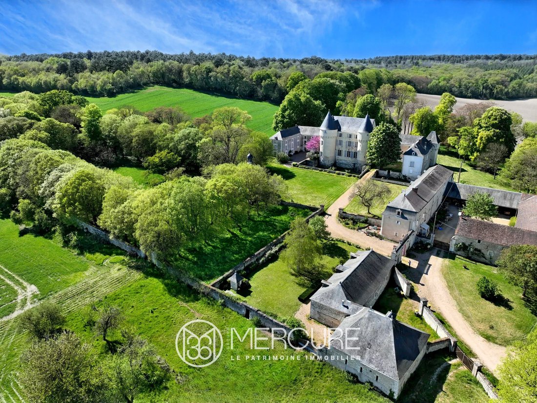 Castle in La Celle-Saint-Avant, Centre-Val de Loire, France 1 - 17959077