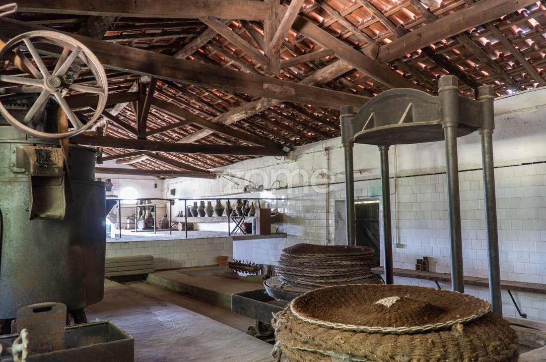 Finca in Lamas, Coimbra District, Portugal 4 - 17962285