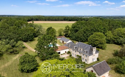 Castle in Gencay, Nouvelle-Aquitaine, France 1