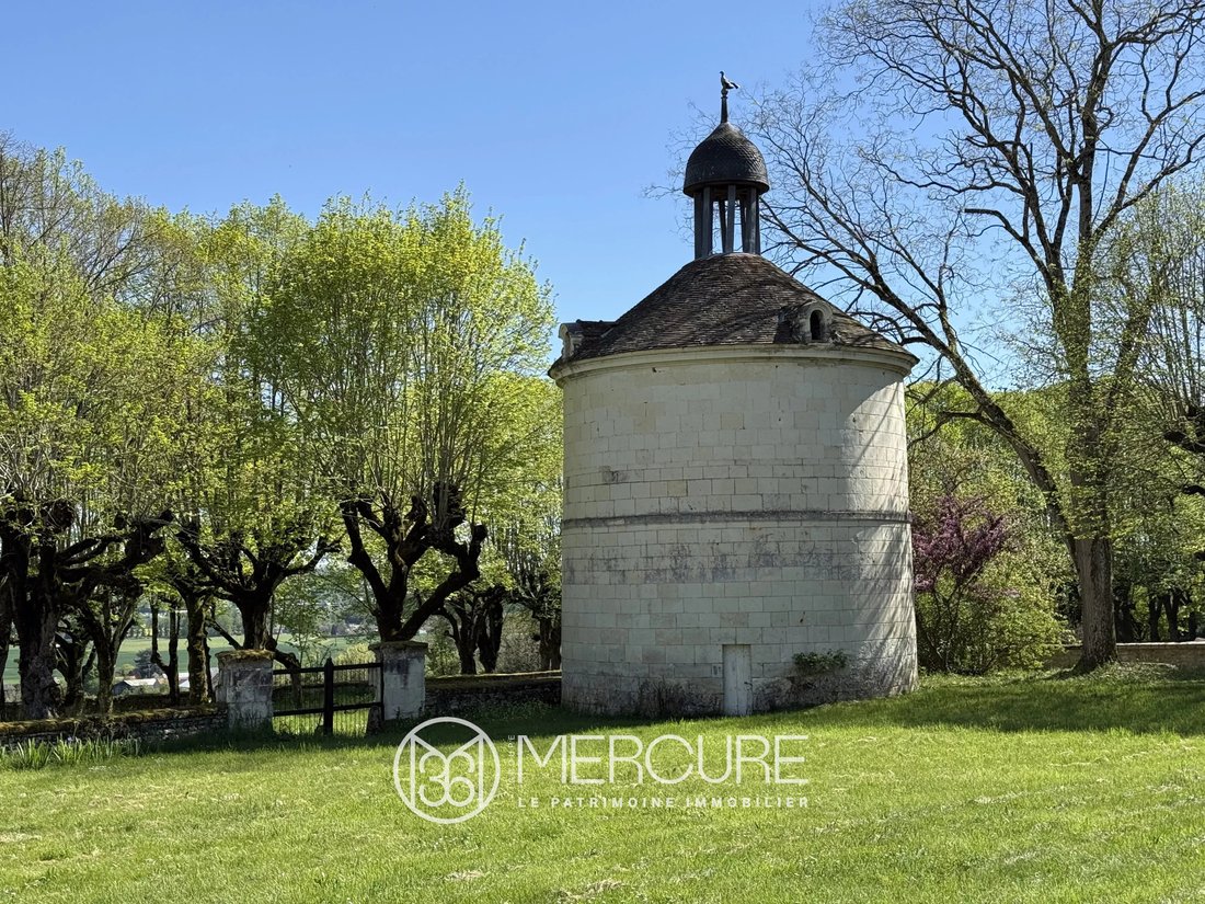 Castle in La Celle-Saint-Avant, Centre-Val de Loire, France 5 - 17959077