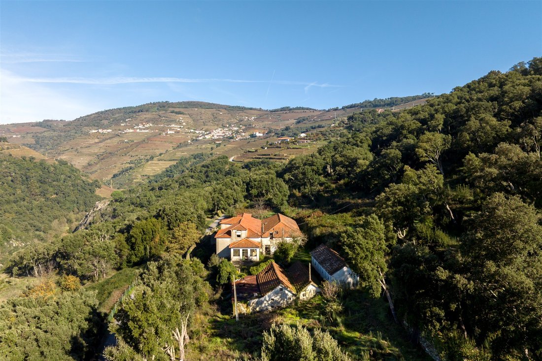 Farm Ranch in Mesao Frio (Santo Andre), Vila Real District, Portugal 4 - 17957804