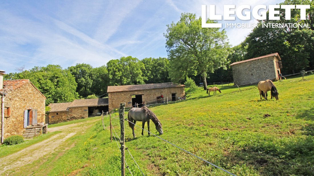Farm Ranch in Verdun-en-Lauragais, Occitania, France 3 - 14828785