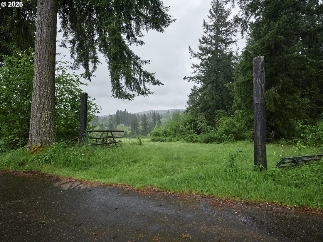 Farm Ranch in Amboy, Washington, United States 1 - 17962505