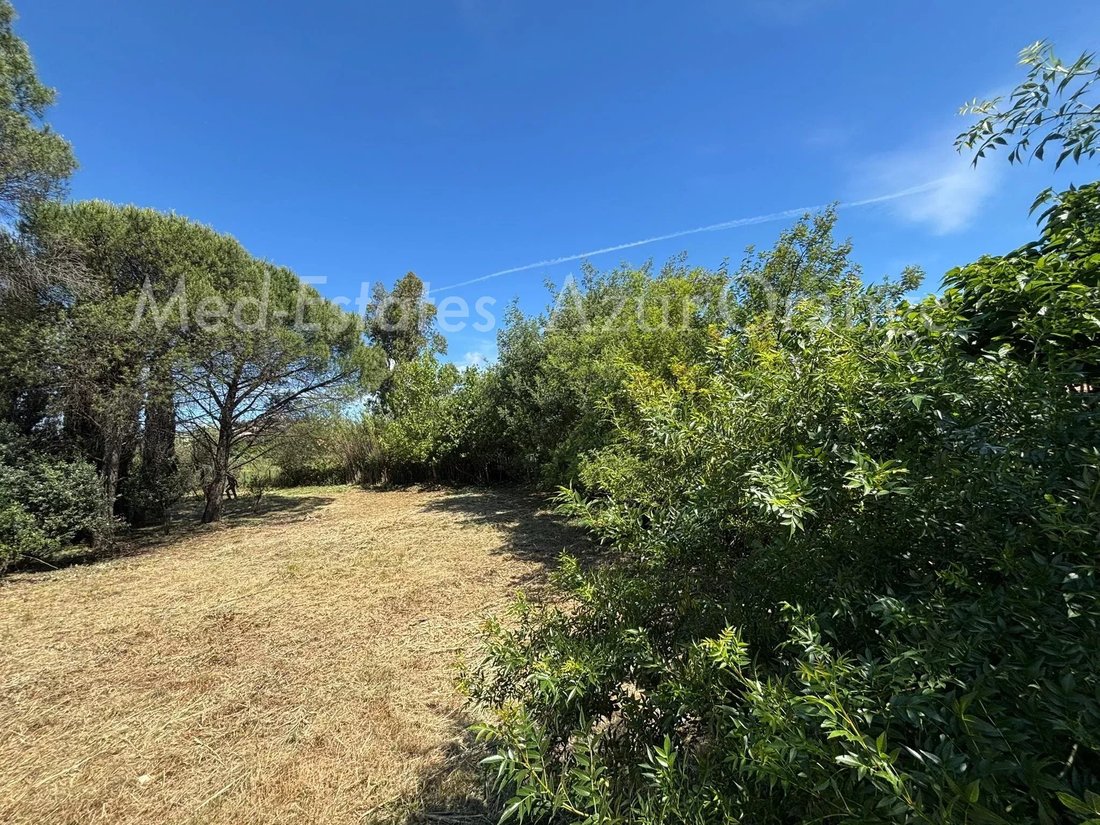 Land in Grimaud, Provence-Alpes-Côte d'Azur, France 4 - 17960662