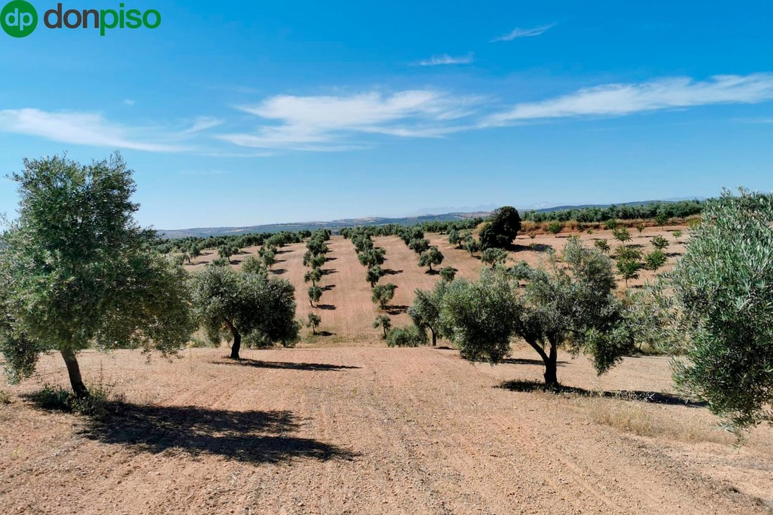 Land in Huelma, Andalusia, Spain 2 - 17962123
