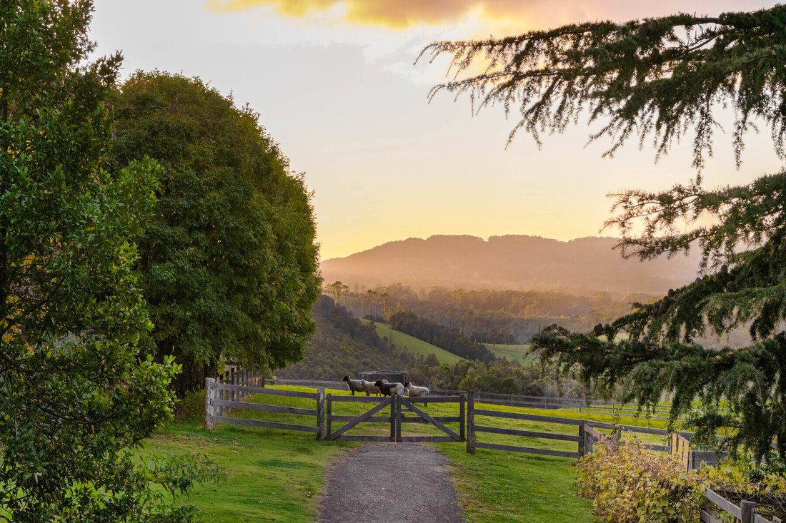 Haus in Robertson, New South Wales, Australien 1 - 17963002