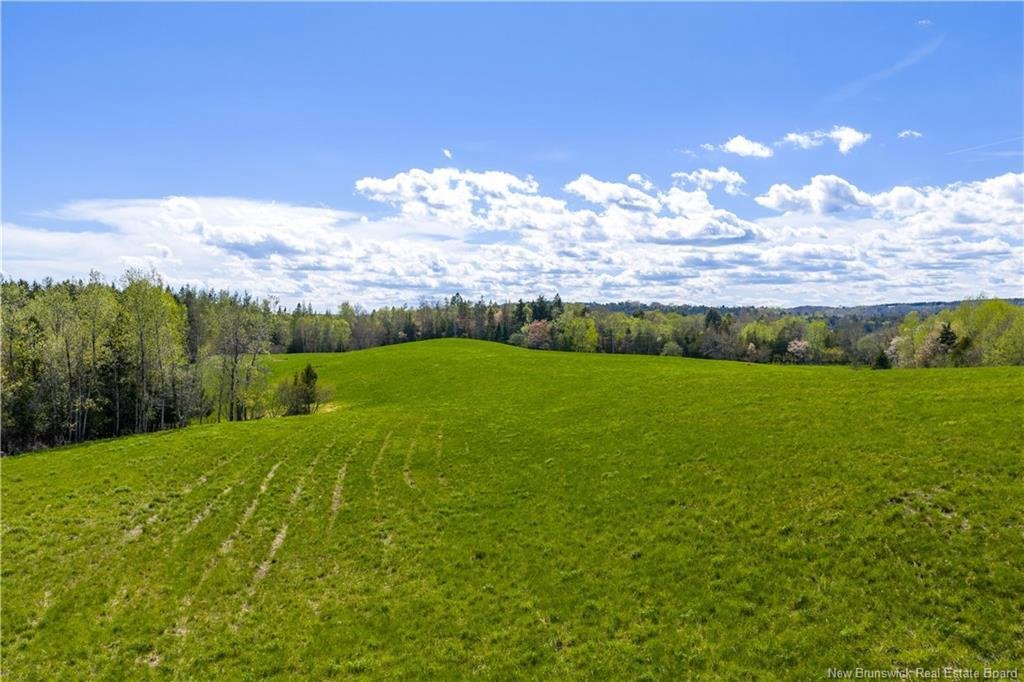 Land in Darlings Island, New Brunswick, Canada 5 - 17959842