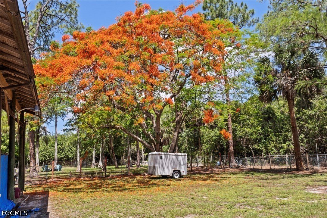 House in Naples, Florida, United States 5 - 17958206
