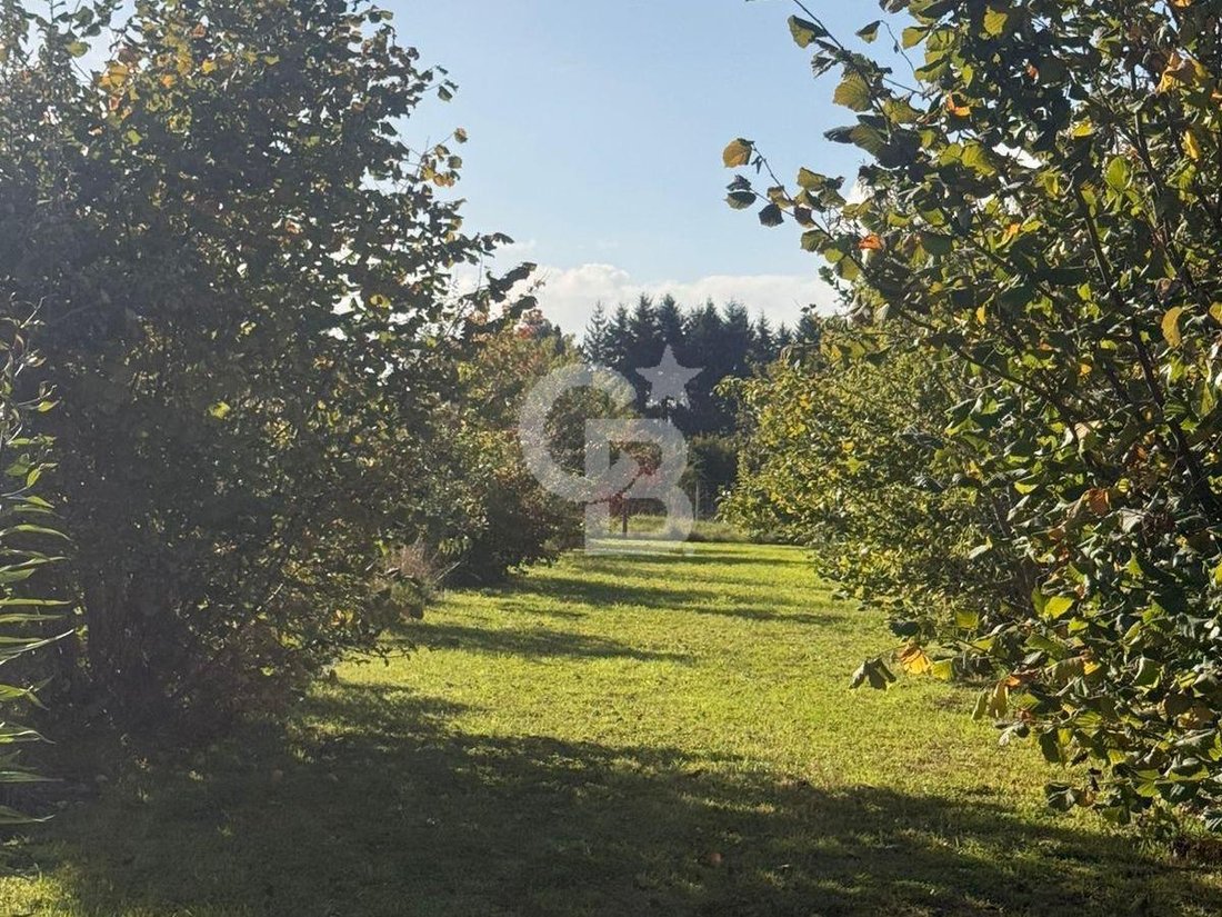 Land in San Pablo, Los Lagos, Chile 5 - 17959808