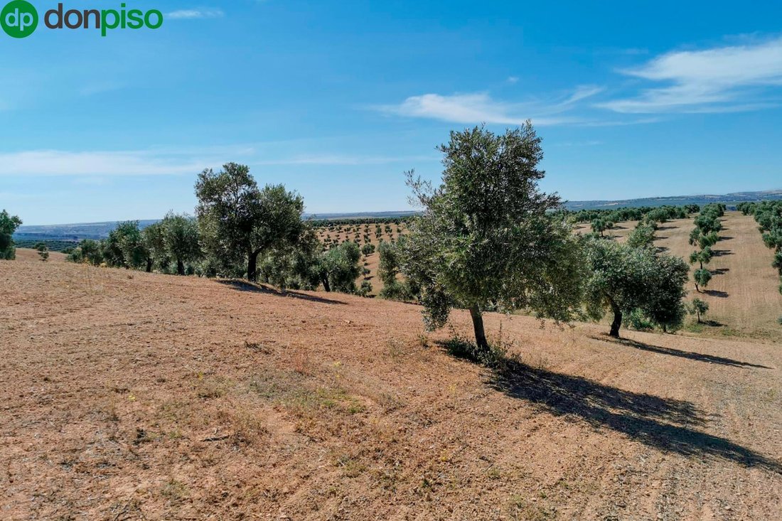 Land in Huelma, Andalusia, Spain 3 - 17962123