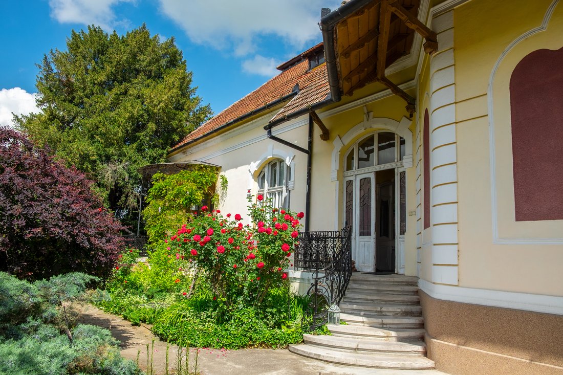House in Deta, Timiș County, Romania 1 - 17959040