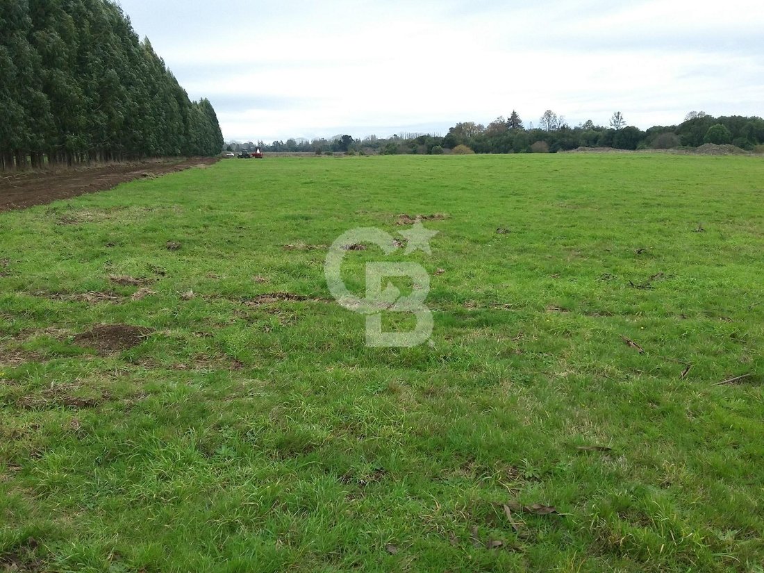 Land in Osorno, Los Lagos, Chile 1 - 17958618