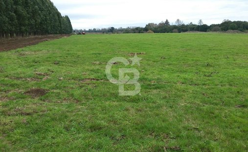Land in Osorno, Los Lagos, Chile 1