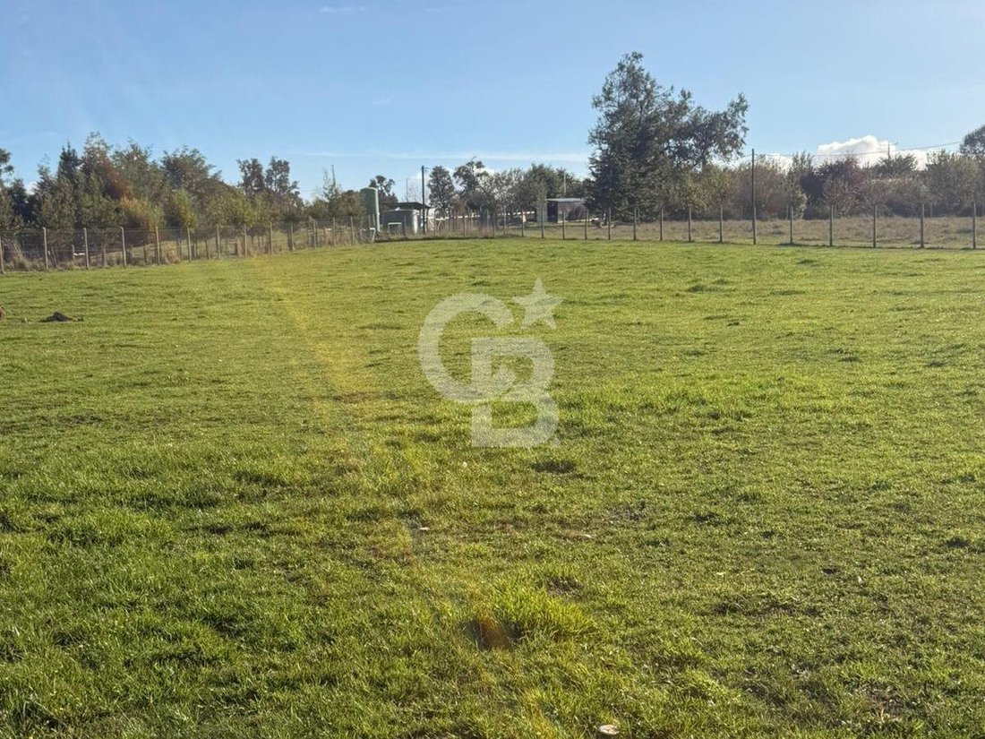 Land in San Pablo, Los Lagos, Chile 3 - 17959808